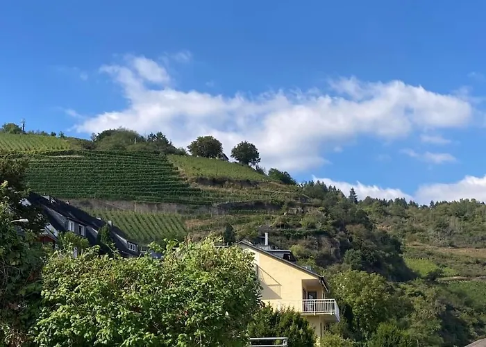 Rheinloge Appartement *